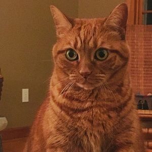 Meet your Posher, James